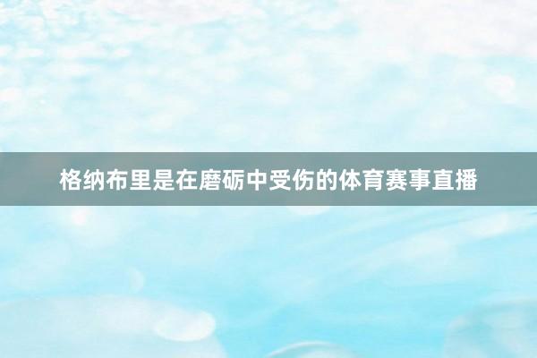 格纳布里是在磨砺中受伤的体育赛事直播