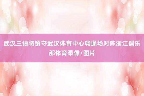 武汉三镇将镇守武汉体育中心畅通场对阵浙江俱乐部体育录像/图片