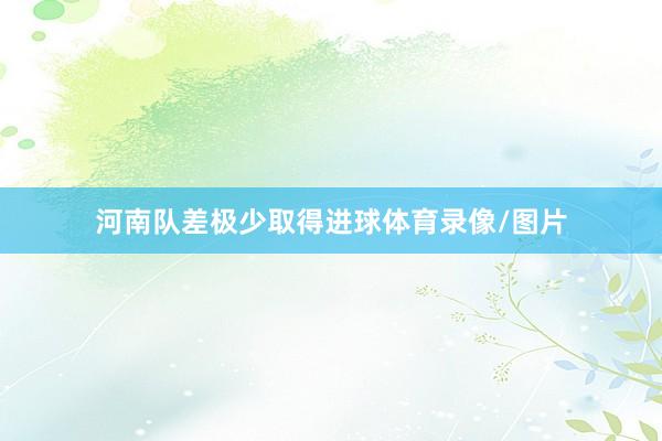 河南队差极少取得进球体育录像/图片