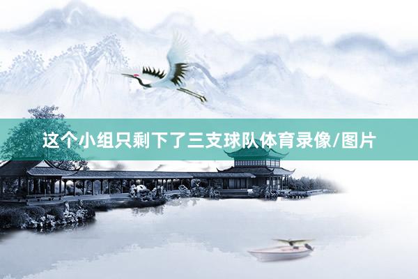 这个小组只剩下了三支球队体育录像/图片