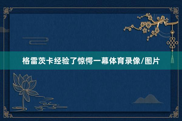 格雷茨卡经验了惊愕一幕体育录像/图片