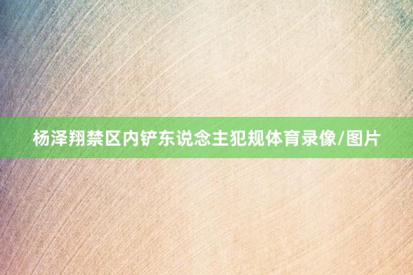 杨泽翔禁区内铲东说念主犯规体育录像/图片