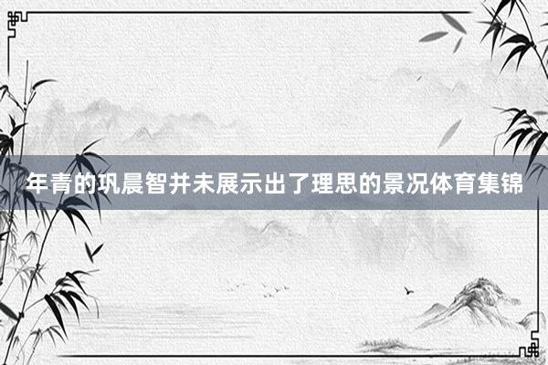 年青的巩晨智并未展示出了理思的景况体育集锦