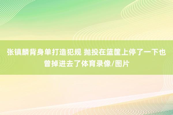 张镇麟背身单打造犯规 抛投在篮筐上停了一下也曾掉进去了体育录像/图片