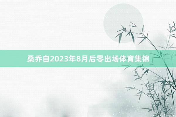 桑乔自2023年8月后零出场体育集锦